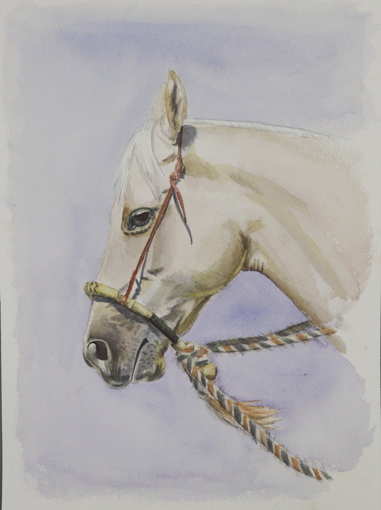 El Blanco