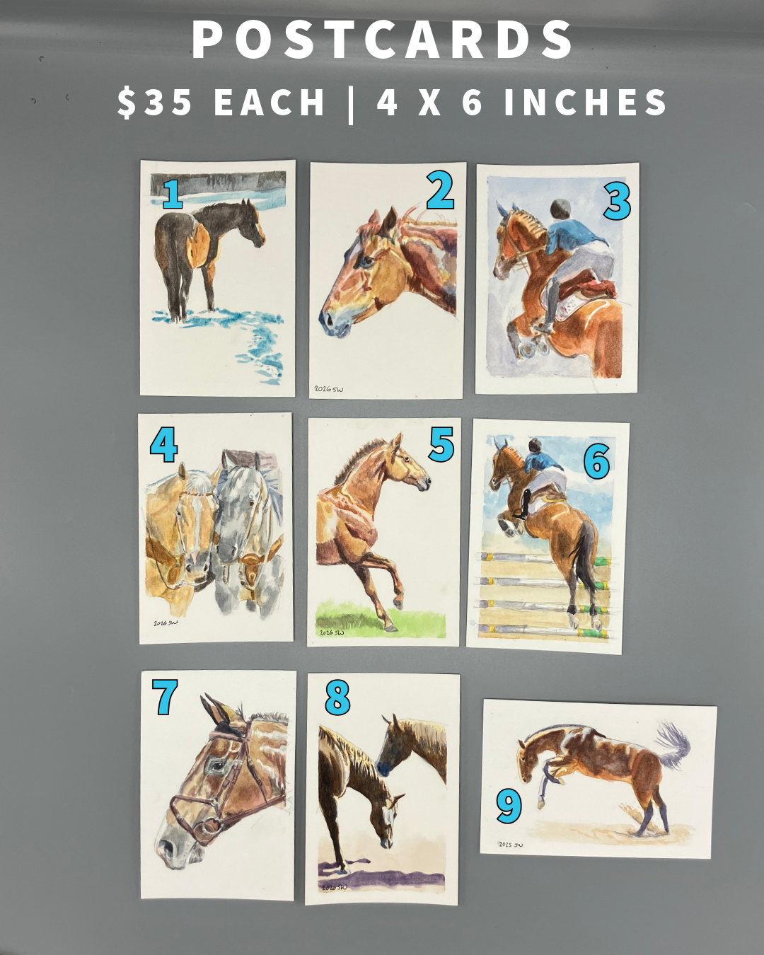 Postcard Ponies