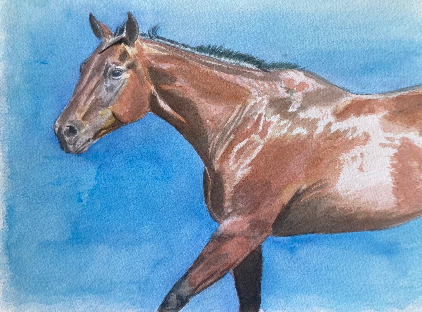 A Racehorse In His Own Mind