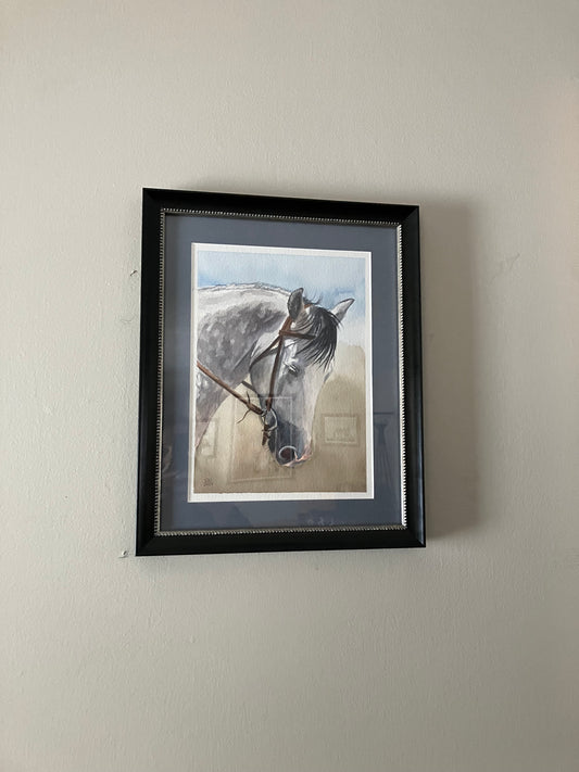 The Grey