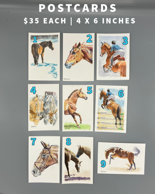 Postcard Ponies